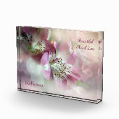 美しいフローララブリフレクション写真集 フォトブロック (右)