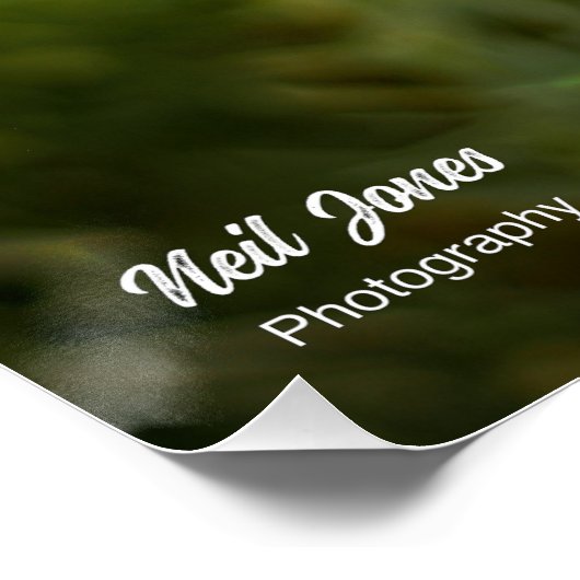 美しいブダ感動的ーポスター ポスター (コーナー)