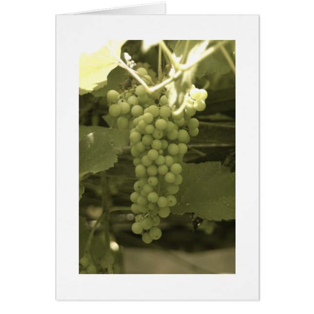 美しいブドウ (正面)