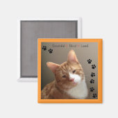 美しいブラインド愛の磁石 マグネット (正面/裏面)