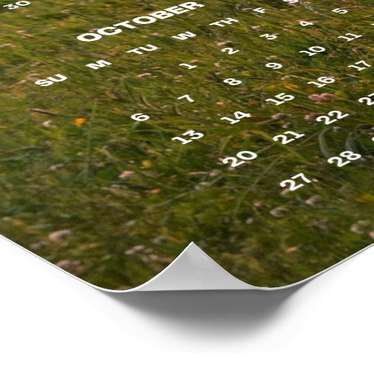 美しいブラウンの馬が草原に佇む 2024年壁掛けカレンダー ポスター (角)