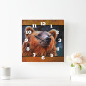 美しいブラウンベアポートレート野生生物写真 スクエア壁時計 (ホーム)