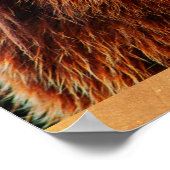 美しいブラウンベアポートレート野生生物写真 ポスター (角)