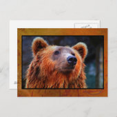 美しいブラウンベアポートレート野生生物写真 ポストカード (正面/裏面)