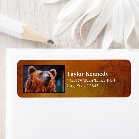 美しいブラウンベアポートレート野生生物写真 ラベル (インサイチュ)