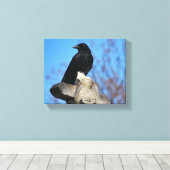 美しいブラッククロウ キャンバスプリント (インサイチュ (ウッドフロア))