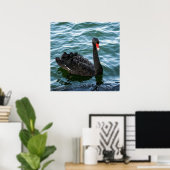 美しいブラックスワン ポスター (ホームオフィス)