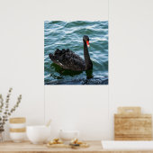 美しいブラックスワン ポスター (キッチン)