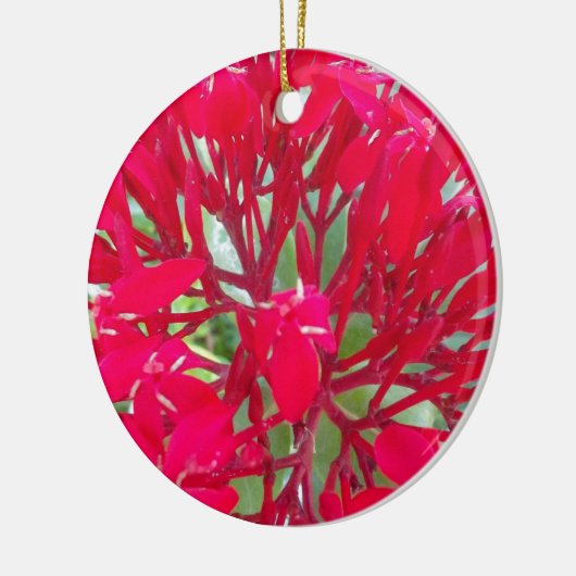 美しいブラッドフラワーミルクウィードアートプリント/グラフィック セラミックオーナメント (左)