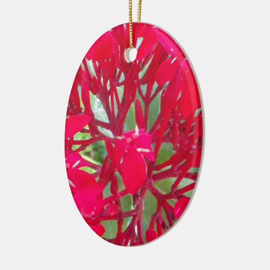 美しいブラッドフラワーミルクウィードアートプリント/グラフィック セラミックオーナメント (左)