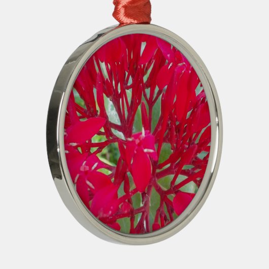 美しいブラッドフラワーミルクウィードアートプリント/グラフィック メタルオーナメント (右)