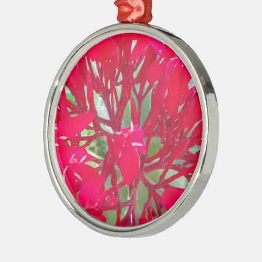 美しいブラッドフラワーミルクウィードアートプリント/グラフィック メタルオーナメント (左)