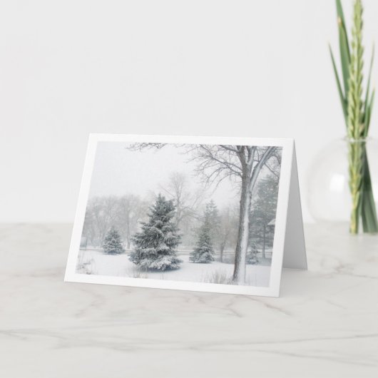 美しいブリザード シーズンカード (正面)