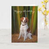 美しいブリッタニーのバースデー・カード カード (黄色い花)