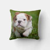美しいブルドッグパピー枕 クッション (裏面)