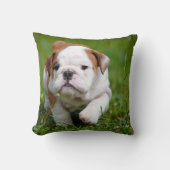美しいブルドッグパピー枕 クッション (正面)