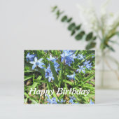 美しいブルーのスカイラ花の写真 誕生日ポストカード ポストカード (スタンド正面)