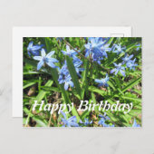 美しいブルーのスカイラ花の写真 誕生日ポストカード ポストカード (正面/裏面)