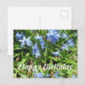 美しいブルーのスカイラ 花の写真 誕生日ポストカード ポストカード (正面/裏面)