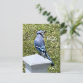 美しいブルージェイの鳥のカスタムグリーティングカード (スタンド正面)