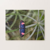 美しいブルーバタフライ自然撮影ガーデン ジグソーパズル (横)
