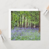 美しいブルーベルウッド カード (正面/裏面インサイチュ)