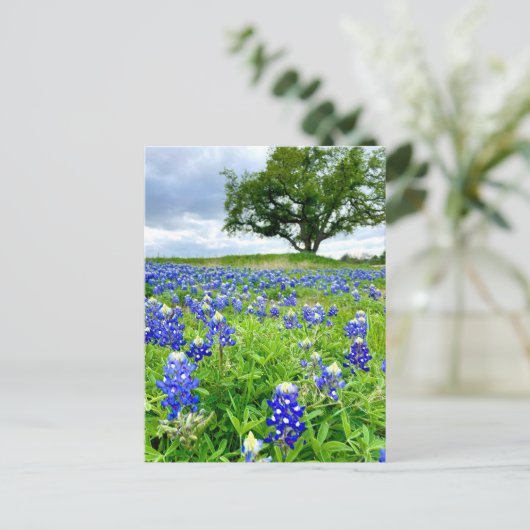 美しいブルーボンネットテキサス州写真 ポストカード (スタンド正面)