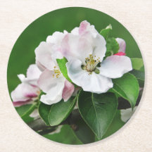 美しいブルーミングアップルツリー春コースター