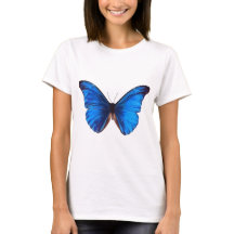 美しいブルーモンラッハ蝶ヴィンテージアート