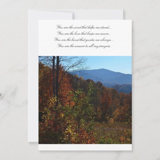 美しいブルーリッジ山々の秋 (正面)