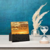 美しいプラーク！ フォトプラーク (インサイチュ)