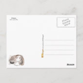 美しいプリンセス ポストカード (裏面)