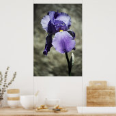 美しいプリント ポスター (キッチン)