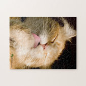 美しいプレーニングMaine Coonクローズアップ写真 ジグソーパズル (横)