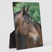 美しいベイホース フォトプラーク (側面)