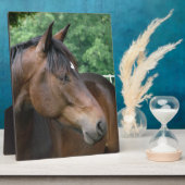 美しいベイホース フォトプラーク (側面)