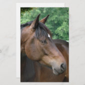 美しいベイホース 便箋 (正面/裏面)