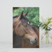 美しいベイホース 便箋 (スタンド正面)