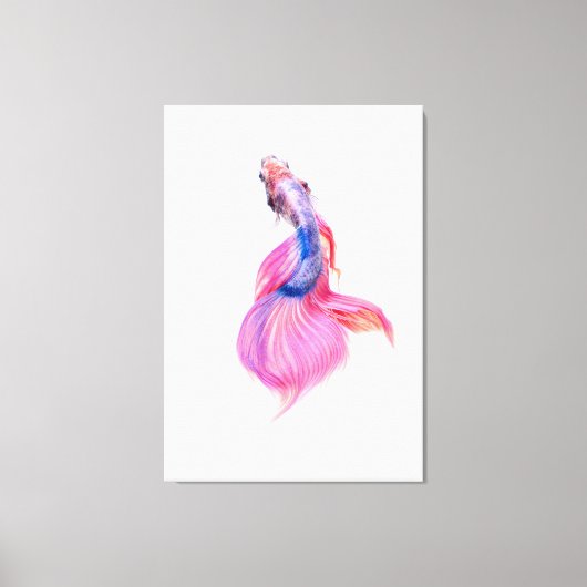 美しいベッタの魚 キャンバスプリント (正面)