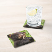 美しいベビーベア スクエアペーパーコースター (インサイチュ)