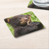 美しいベビーベア スクエアペーパーコースター (アングル)