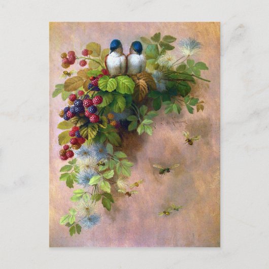 美しいベリーつる植物とブルーバードのはがき ポストカード (正面)