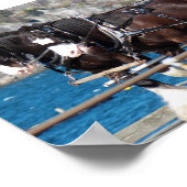 美しいベルギーのハーネス作業馬 ポスター (角)