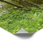 美しいベルギーの森と川、旅行 ポスター (角)