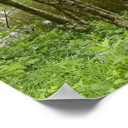 美しいベルギーの森と川、旅行 ポスター (角)