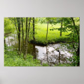 美しいベルギーの森と川、旅行 ポスター (正面)