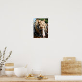 美しいベルギー ポスター (キッチン)