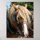 美しいベルギー ポスター (正面)