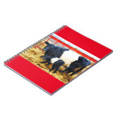 美しいベルテッドガロウェイ牛と子牛の水色 ノートブック (左側)