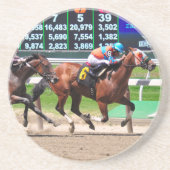 美しいベルモントパーク競馬場からの競争 コースター (正面)